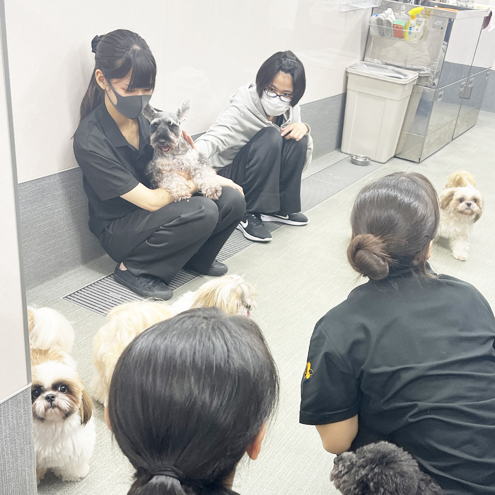 室内でＷａｎ活♪